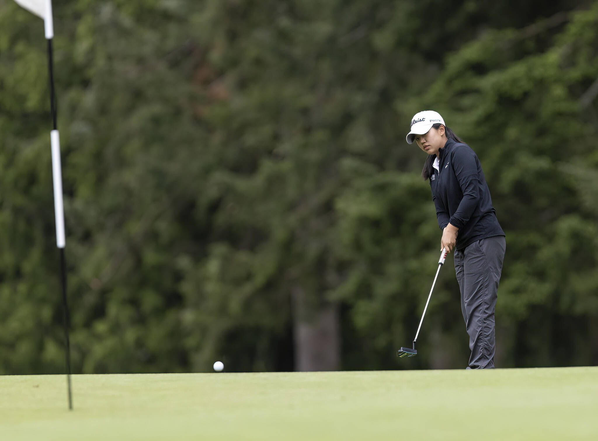 Jackson’s Chanyoung Park putts during the 4A District 1 Golf Tournament at Snohomish Golf Course on Wednesday, May 14, 2025 in Snohomish, Washington. (Olivia Vanni / The Herald)