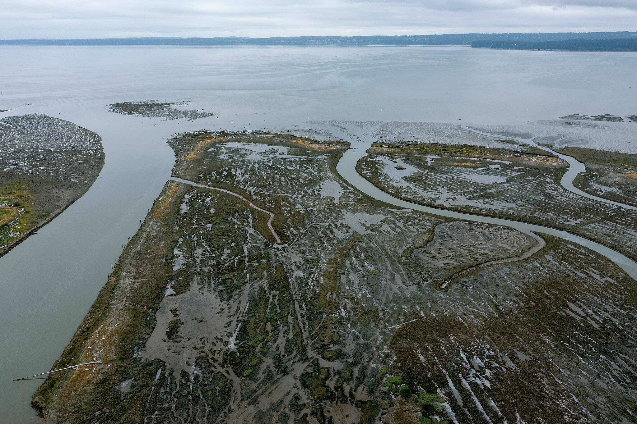 The Leque Island estuary near Stanwood, where the Stillaguamish River (left) flows into Port Susan in August 2021. Estuaries are among the ecosystems threatened by climate change. (Chuck Taylor / The Herald file photo)