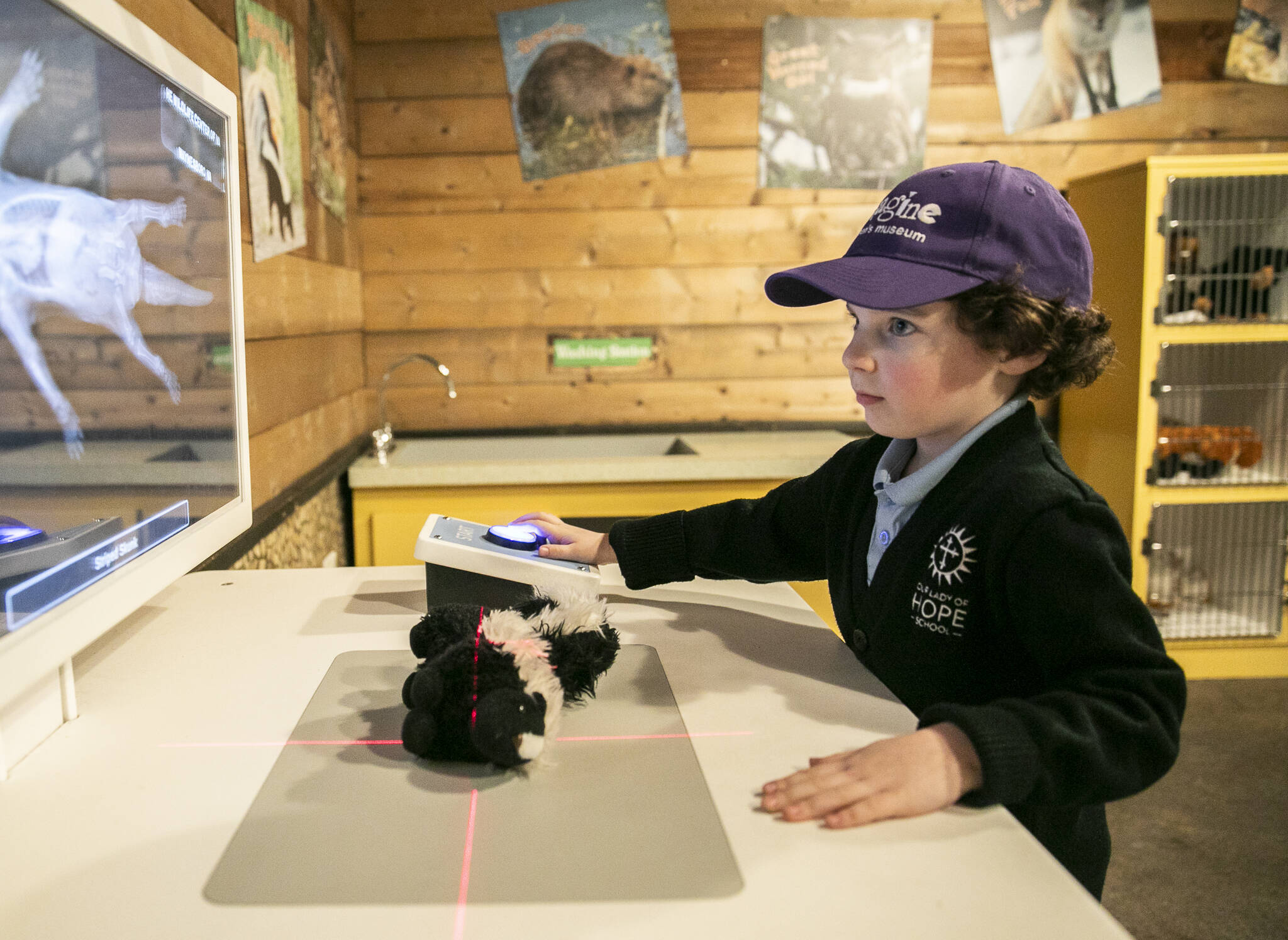 Aaron Weinstock uses an X-ray machine toy inside the Imagine Children Museum on Tuesday, Dec. 3, 2024 in Everett, Washington. (Olivia Vanni / The Herald)