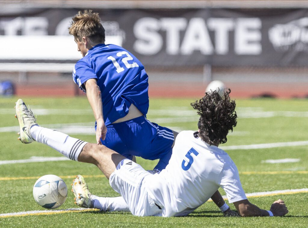 Shorewood’s Bobby Lamb is tackled during the 3A state semifinal game against Ingraham on Friday, May 30, 2025 in Puyallup, Washington. (Olivia Vanni / The Herald)
