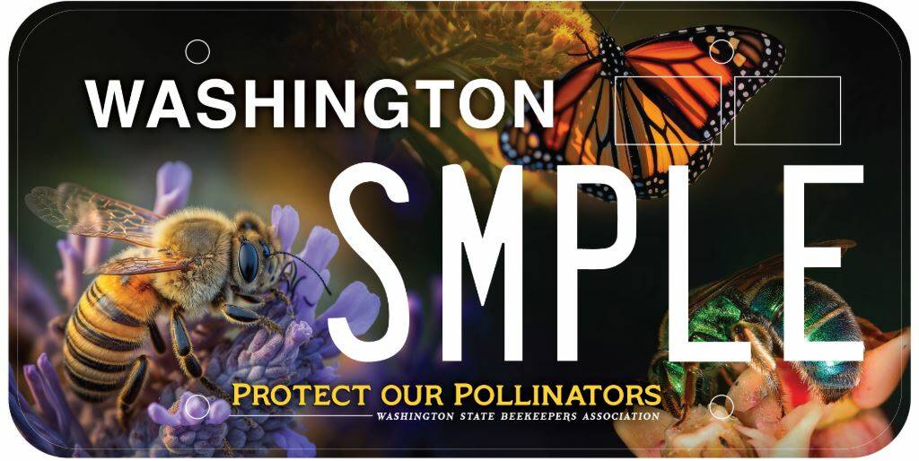 This is a sample of the special license plate to become available in Washington state starting in late 2025. The Washington State Beekeepers Association will use proceeds to support research and public education on pollinators. (Image courtesy of Washington State Beekeepers Association)