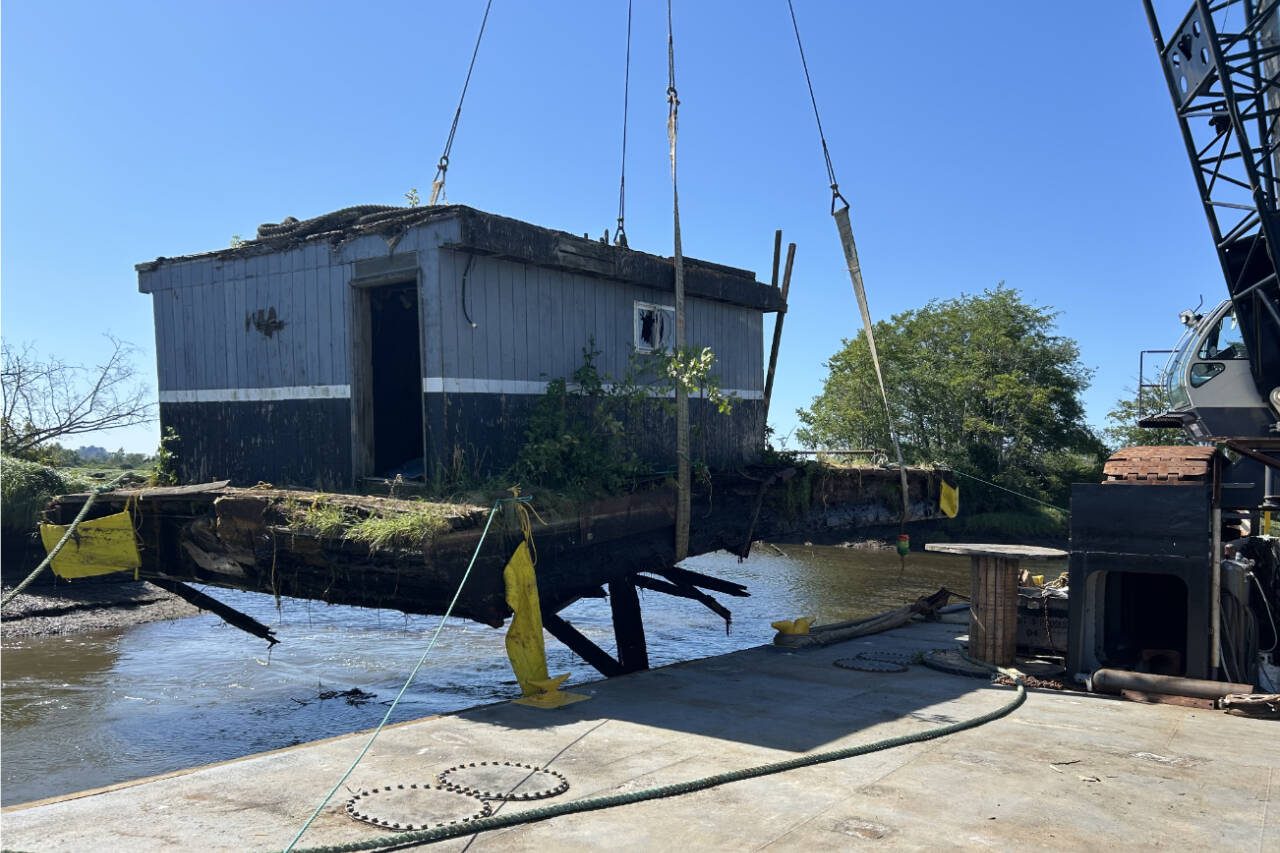 A crane lifts a barge out of the water Tuesday, May 27, 2025 in the Spencer Island Estuary. The barge will be disposed of in Everett. (Washington Department of Fish and Wildlife)