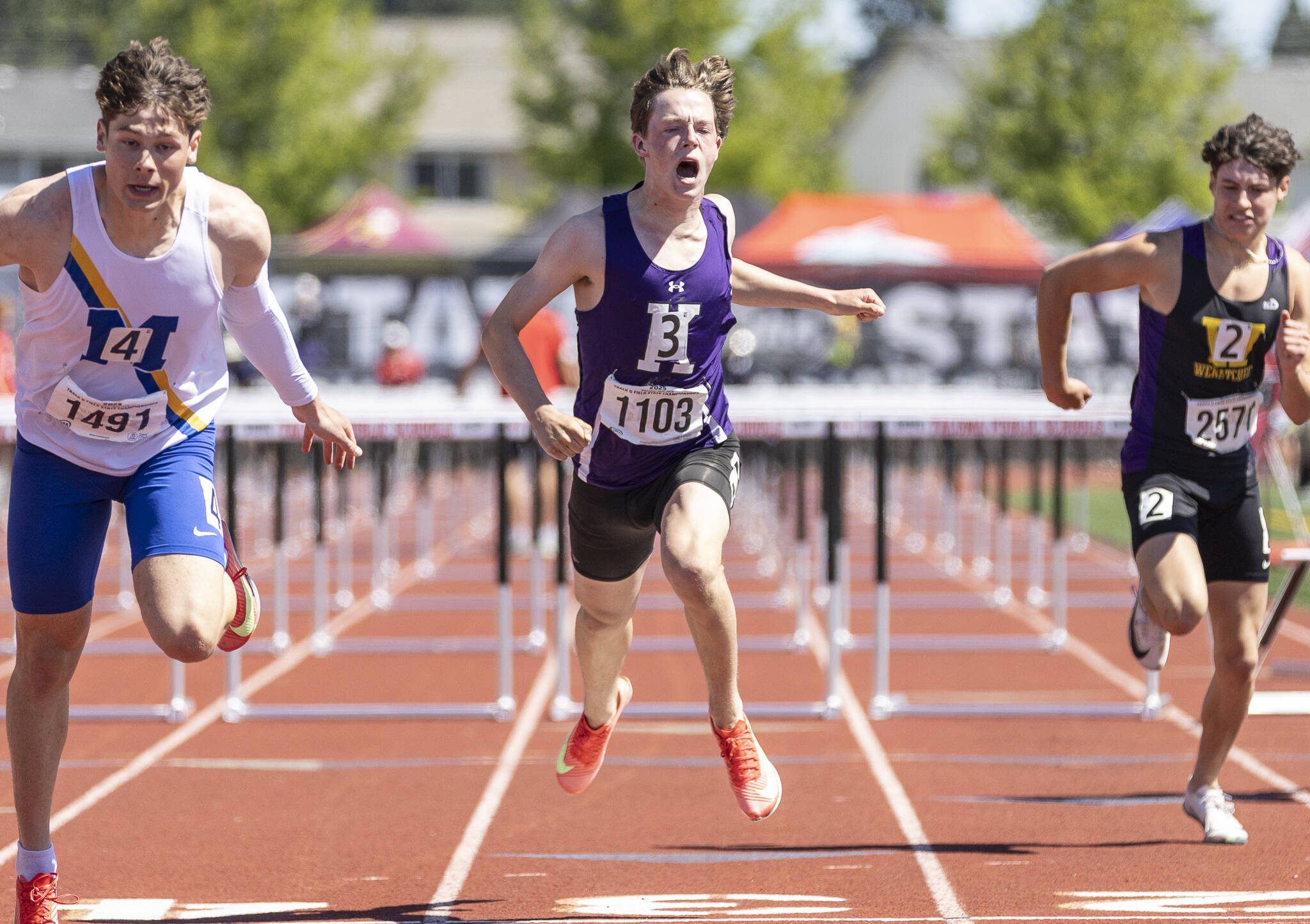 Kamiak’s Miller Warme yells as he crosses the finish line in the 4A Boys 110 Hurdles final on Friday, May 30, 2025 in Tacoma, Washington. (Olivia Vanni / The Herald)