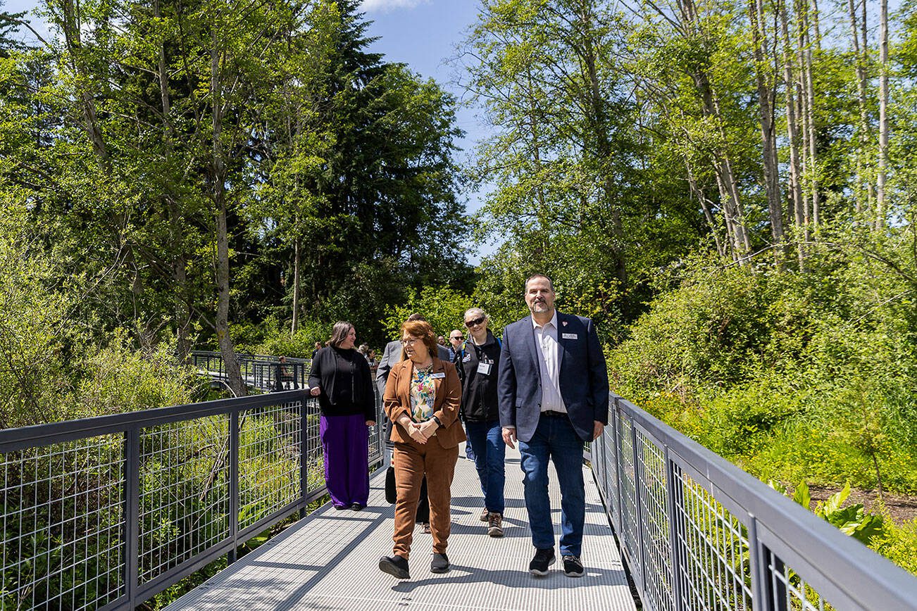 Lynnwood Mayor Christine Frizzell and Lynnwood City Council Member David Parshall along with others involved in the renovation of Scriber Lake Park explore the new boardwalk on Wednesday, June 4, 2025 in Lynnwood, Washington. (Olivia Vanni / The Herald)