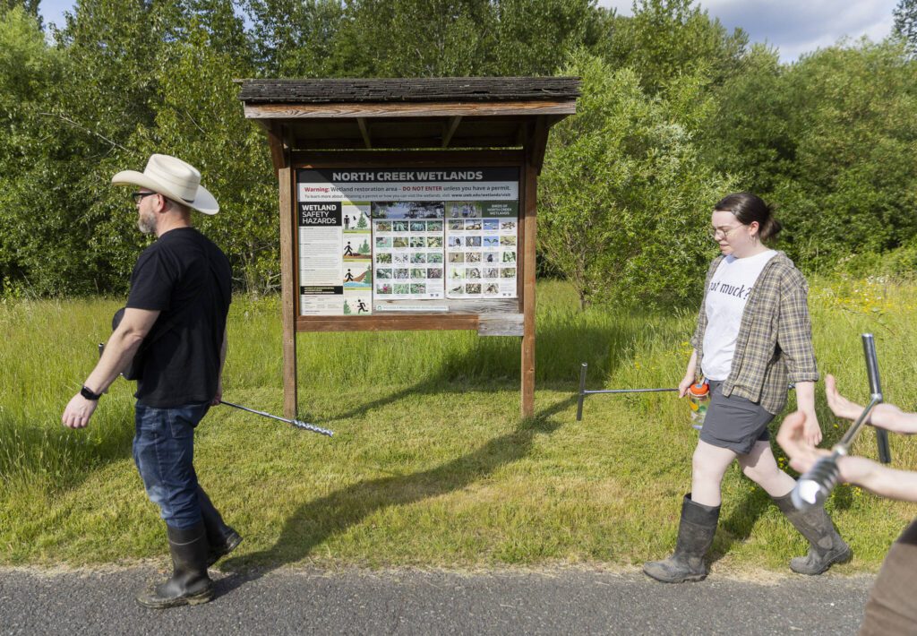 People walk with augers to the North Creek Wetlands on Wednesday, June 4, 2025 in Bothell, Washington. (Olivia Vanni / The Herald)
