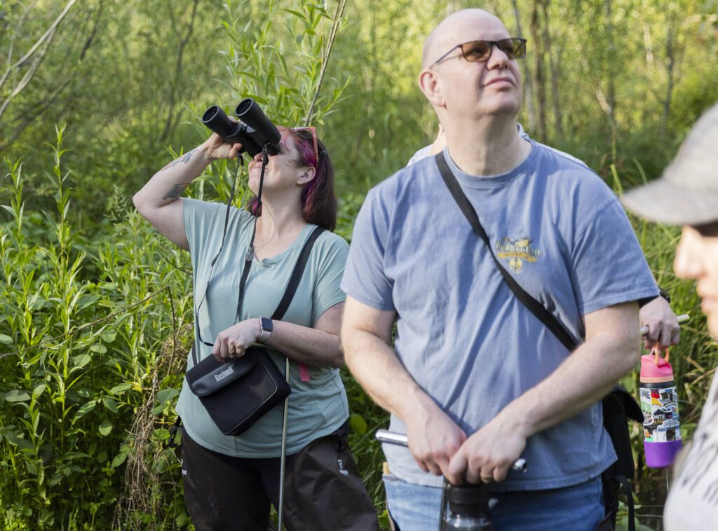 Brenda Bancroft uses binoculars to look for wildlife at the North Creek Wetlands on Wednesday, June 4, 2025 in Bothell, Washington. (Olivia Vanni / The Herald)
