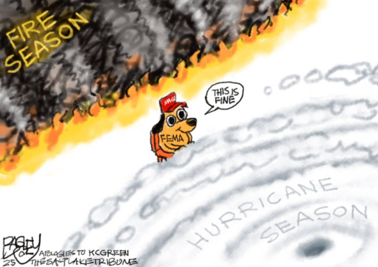 toon