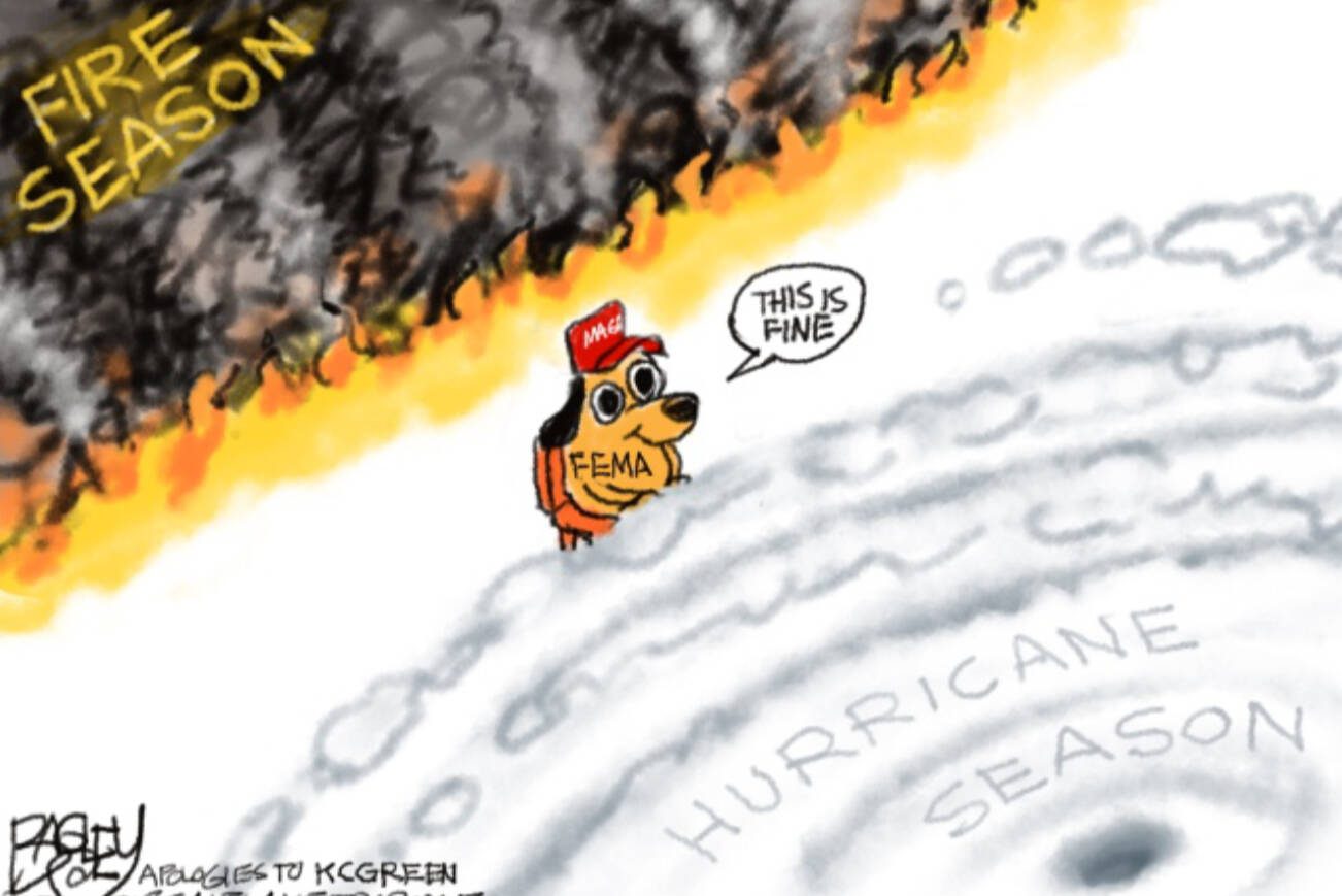 toon
