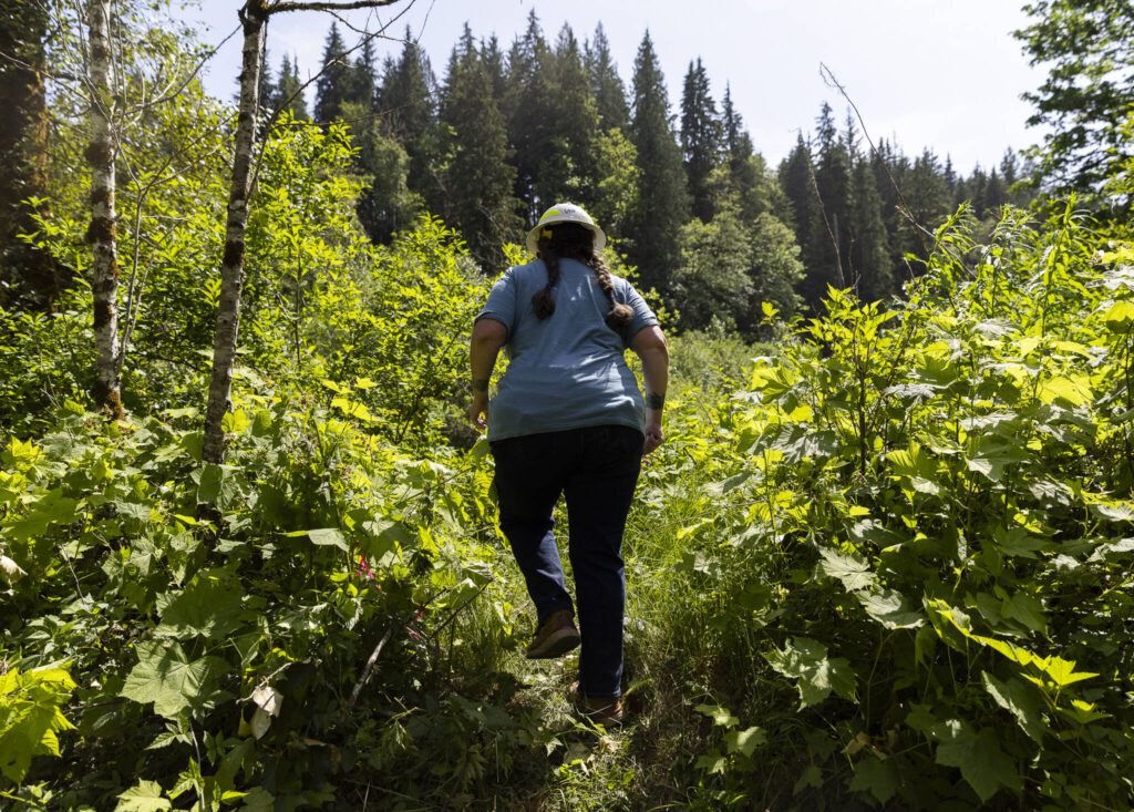 DNR Watershed Resilience Program Lead Rachel Benbrook walks toward the Pilchuck River on Wednesday, June 11, 2025 in Granite Falls, Washington. (Olivia Vanni / The Herald)
