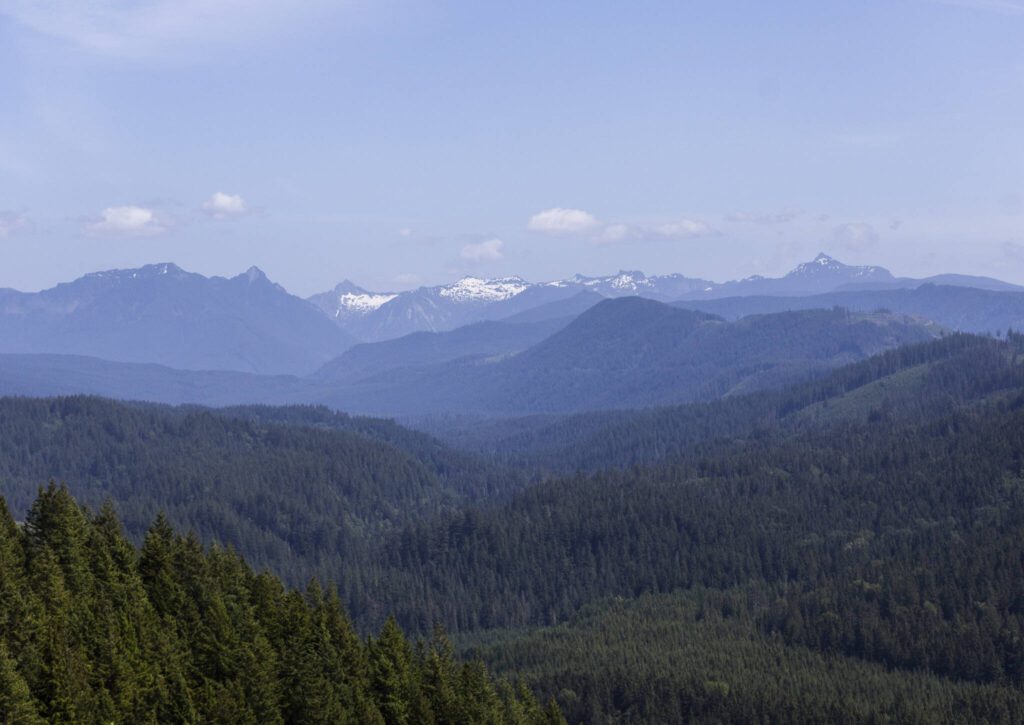 A view of the valley the Pilchuck River runs through on Wednesday, June 11, 2025 in Granite Falls, Washington. (Olivia Vanni / The Herald)
