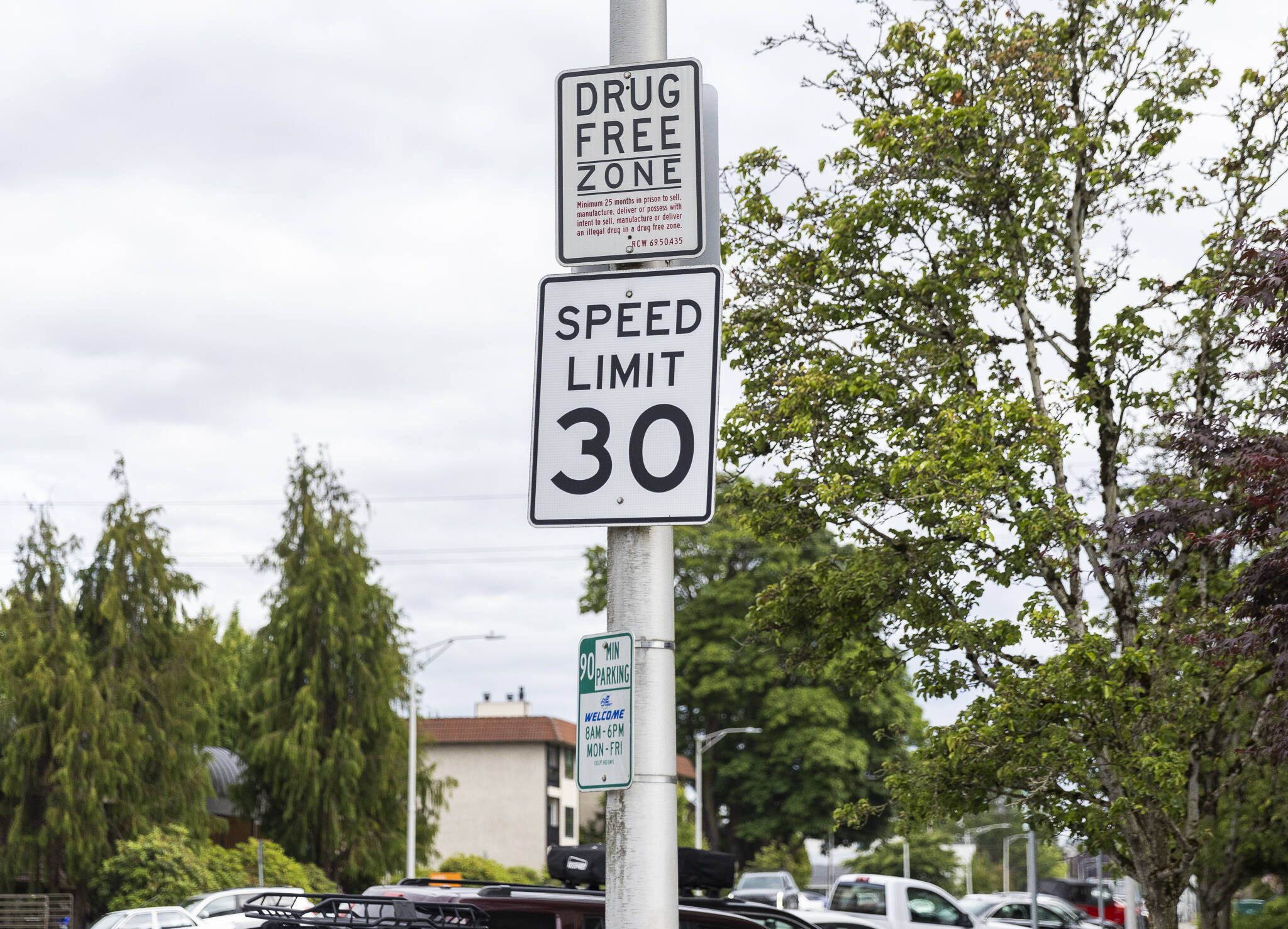 A Drug Free Zone sign visible along Colby Avenue on Wednesday, June 25, 2025 in Everett, Washington. (Olivia Vanni / The Herald)