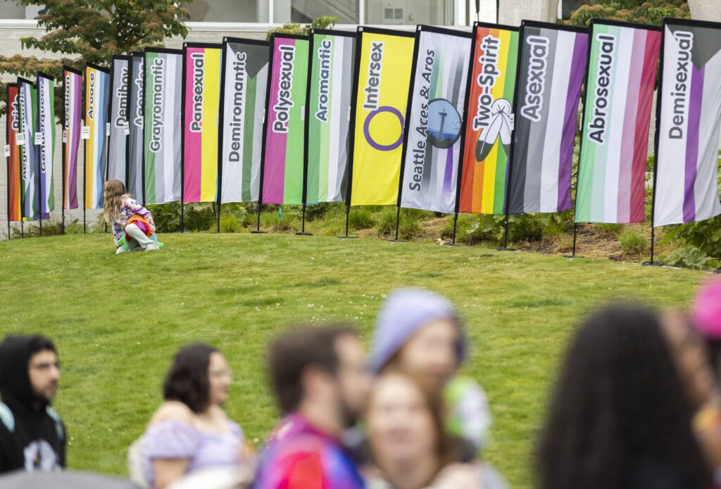 A row of sexual orientation flags along with short descriptions of each on display during the Everett Pride Block Party on Saturday, June 21, 2025 in Everett, Washington. (Olivia Vanni / The Herald)
