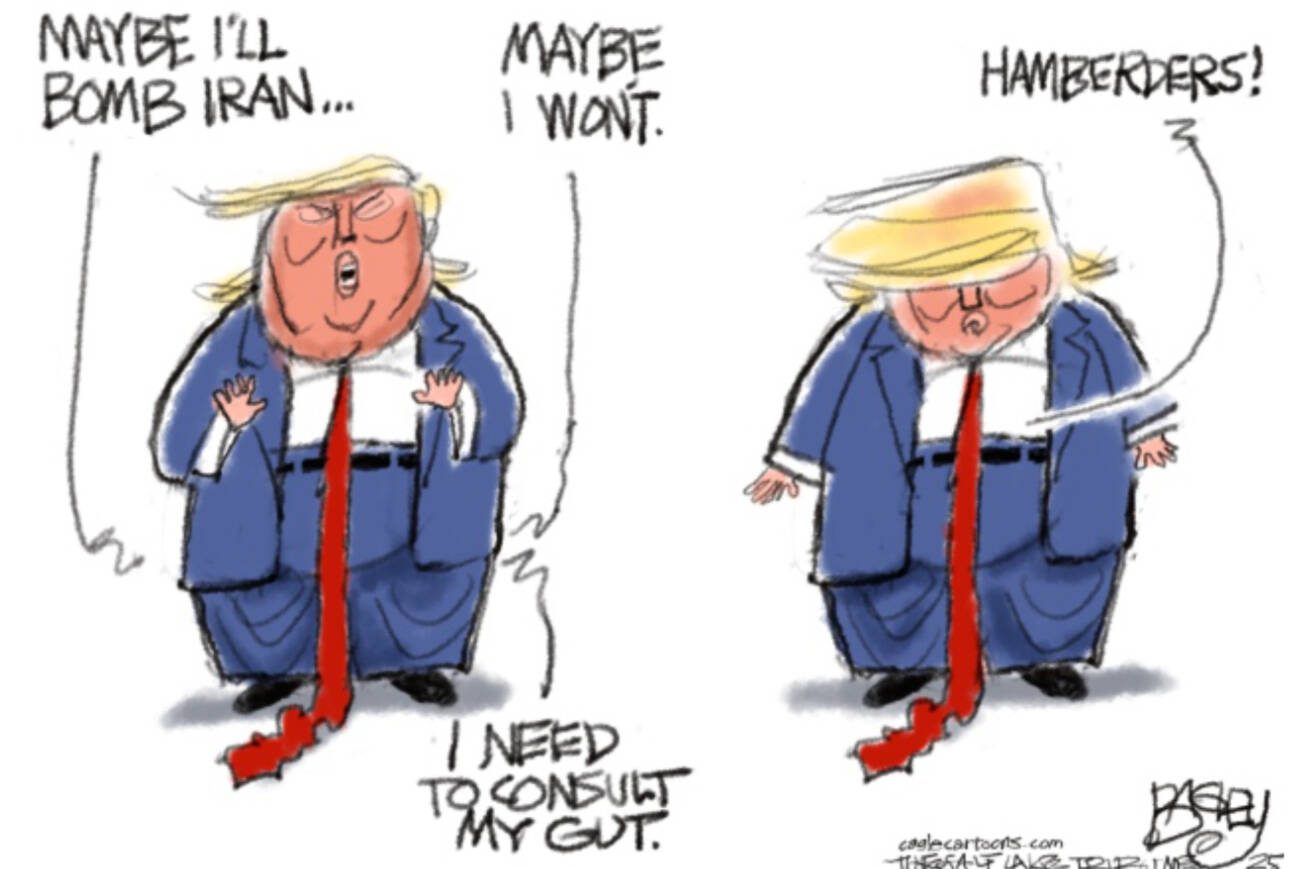 toon