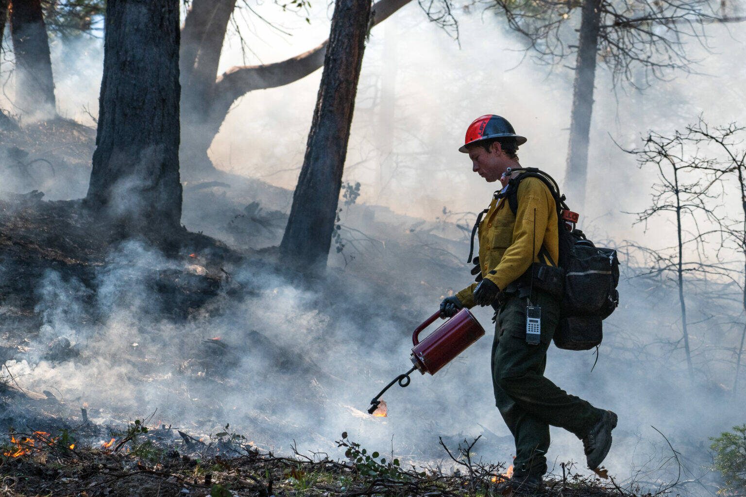 Firefighters undertake a prescribed burn at the Upper Applegate Watershed near Medford, Oregon on Thursday, April 27, 2023. Such burns can help reduce the risk of large wildfires. (Kyle Sullivan, Bureau of Land Management/Flickr)