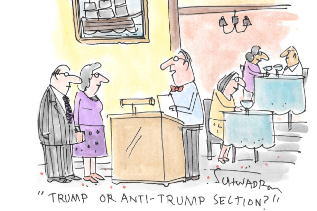 toon
