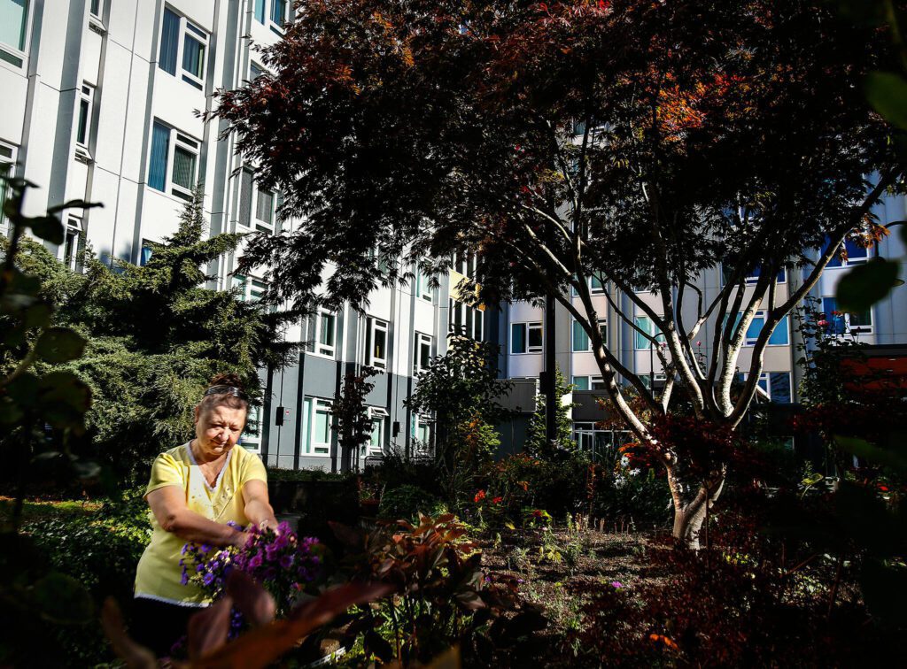 Valentina Bogdanova, 74, loves working in the gardens that nearly surround the Bakerview Apartments, where she has lived for 20 years. The units are among 16 affordable and subsidized properties leased to seniors by the Everett Housing Authority. (Dan Bates / The Herald)
