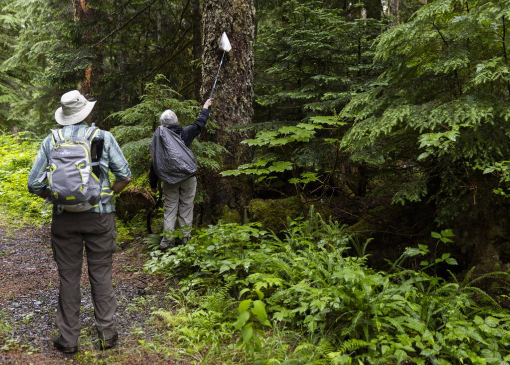 Kathy Johnson and Doug Cooper inspect a piece of paper hanging from a tree along a CERCLA road on Thursday, July 10, 2025 in Granite Falls, Washington. (Olivia Vanni / The Herald)
