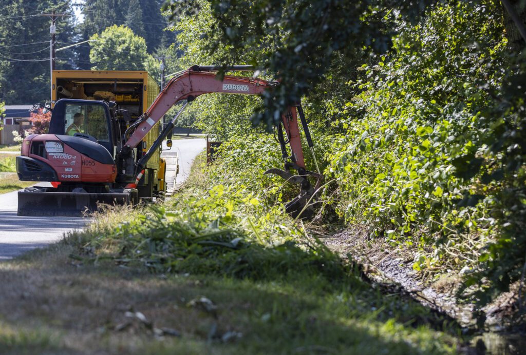 Snohomish County workers clear out foliage in a ditch that runs along 66th Street Northeast on Wednesday, July 16, 2025, in Lake Stevens, Washington. (Olivia Vanni / The Herald)
