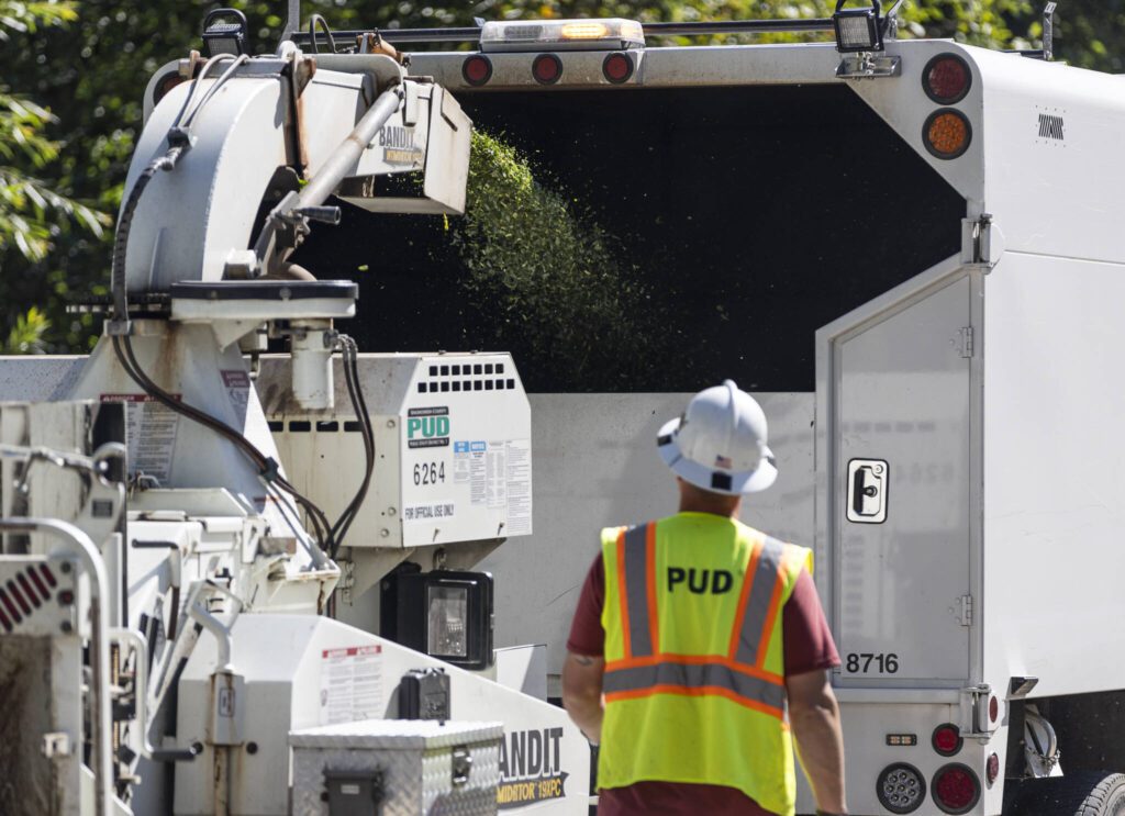 Matt Watts with Snohomish County PUD throws a branch through a woodchipper on Thursday, July 24, 2025 in Stanwood, Washington. (Olivia Vanni / The Herald)

