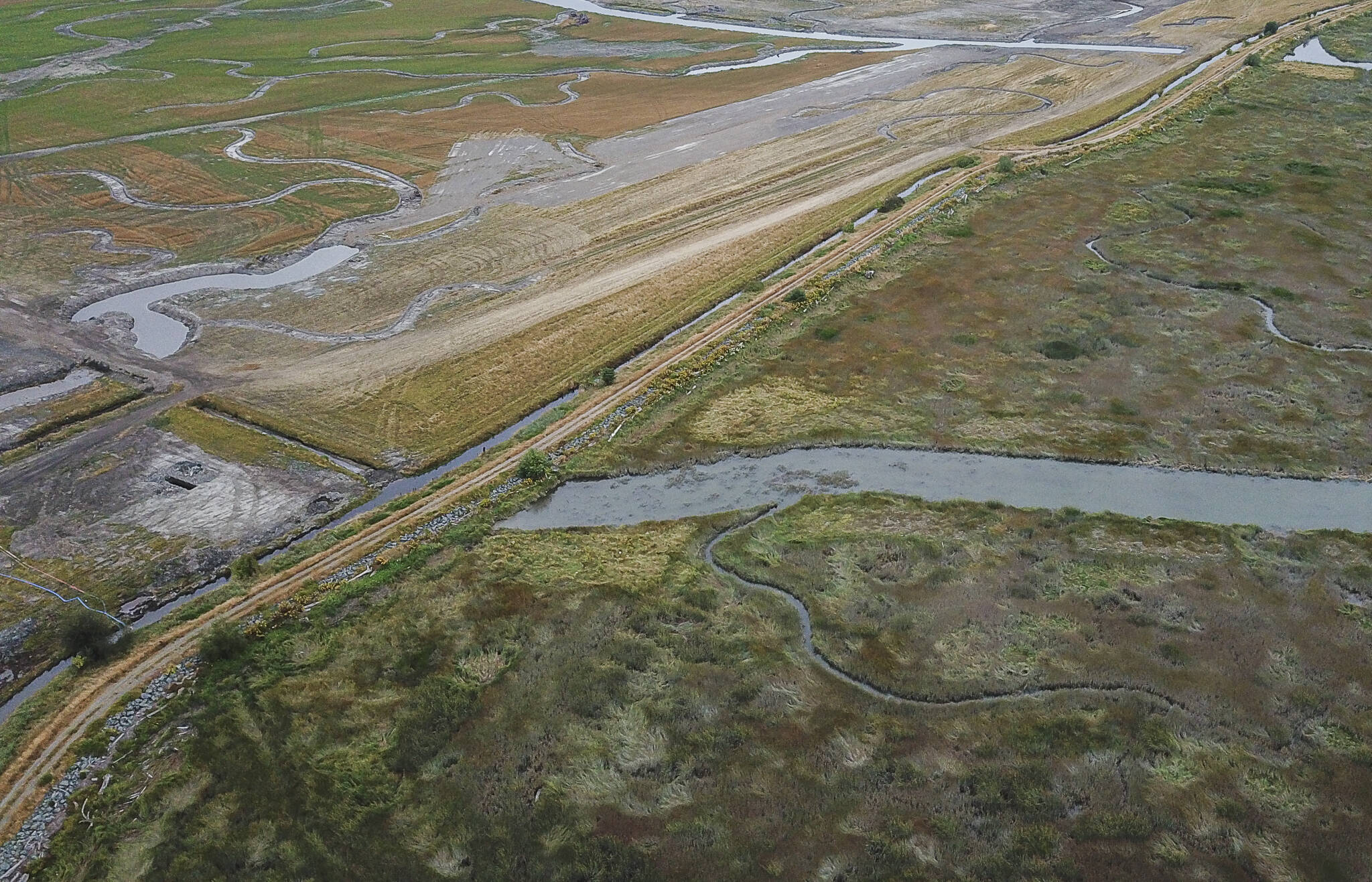 A dike that will be demolished divides Port Susan Bay Reserve from the Stillaguamish Tribe’s Zis A Ba land currently under restoration on Wednesday, Aug. 6, 2025 in Stanwood, Washington. (Olivia Vanni / The Herald)