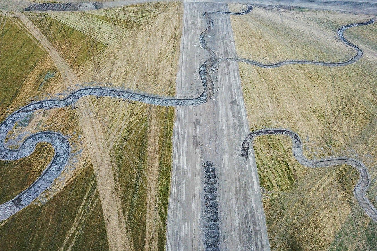 Excavator dug channels cover the surface of the Zis A Ba site on Wednesday, Aug. 6, 2025 in Stanwood, Washington. (Olivia Vanni / The Herald)
