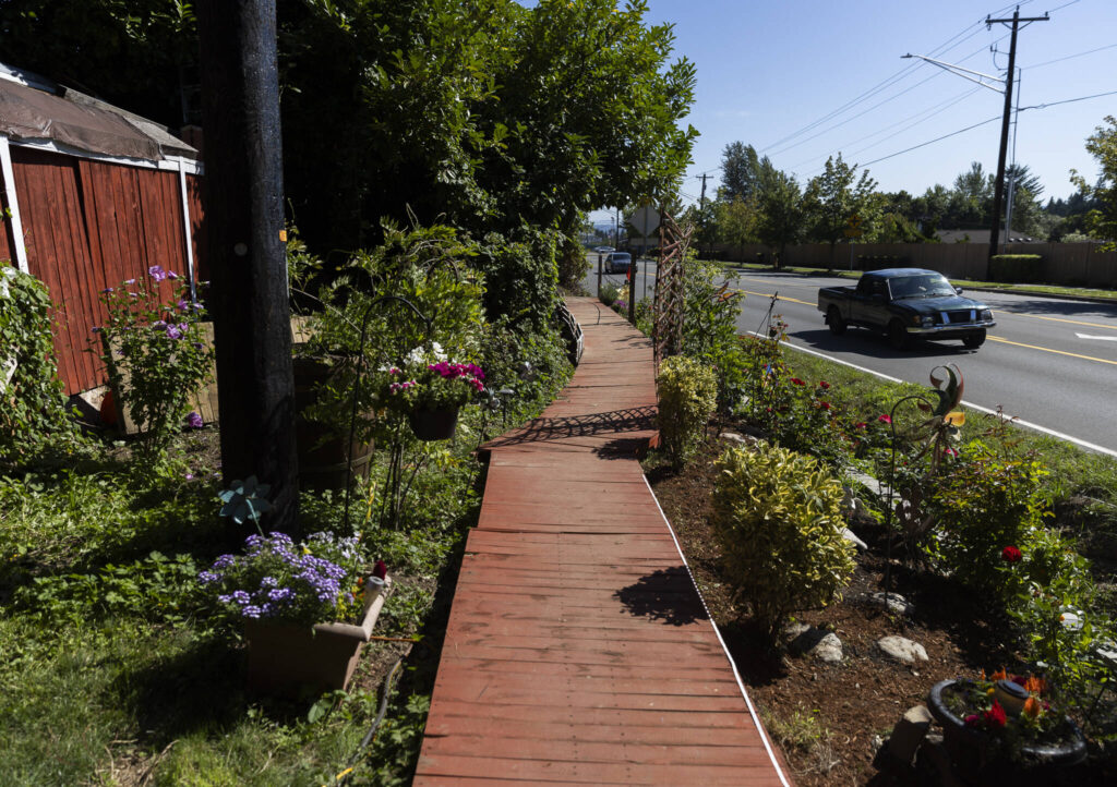 Traffic moves along Bickford Avenue parallel to the red wood pathway on Thursday, Aug. 21, 2025 in Snohomish, Washington. (Olivia Vanni / The Herald)
