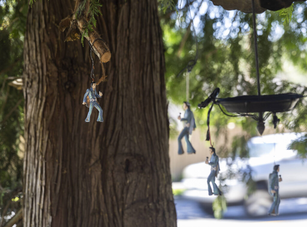 Small Elvis figures hang as decorations from a tree along the red wooden pathway on Thursday, Aug. 21, 2025 in Snohomish, Washington. (Olivia Vanni / The Herald)
