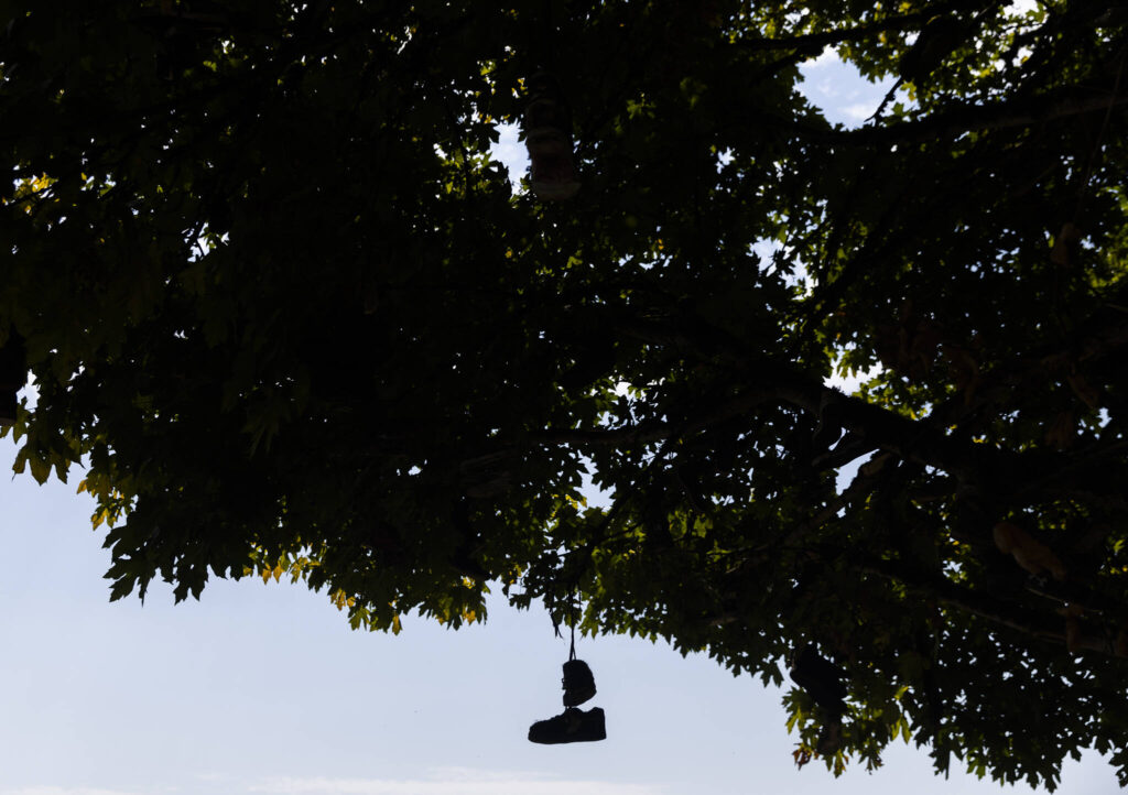 A pair of shoes hanging from a tree branch is silhouetted against the sky along Machias Road on Thursday, Aug. 28, 2025 in Snohomish, Washington. (Olivia Vanni / The Herald)

