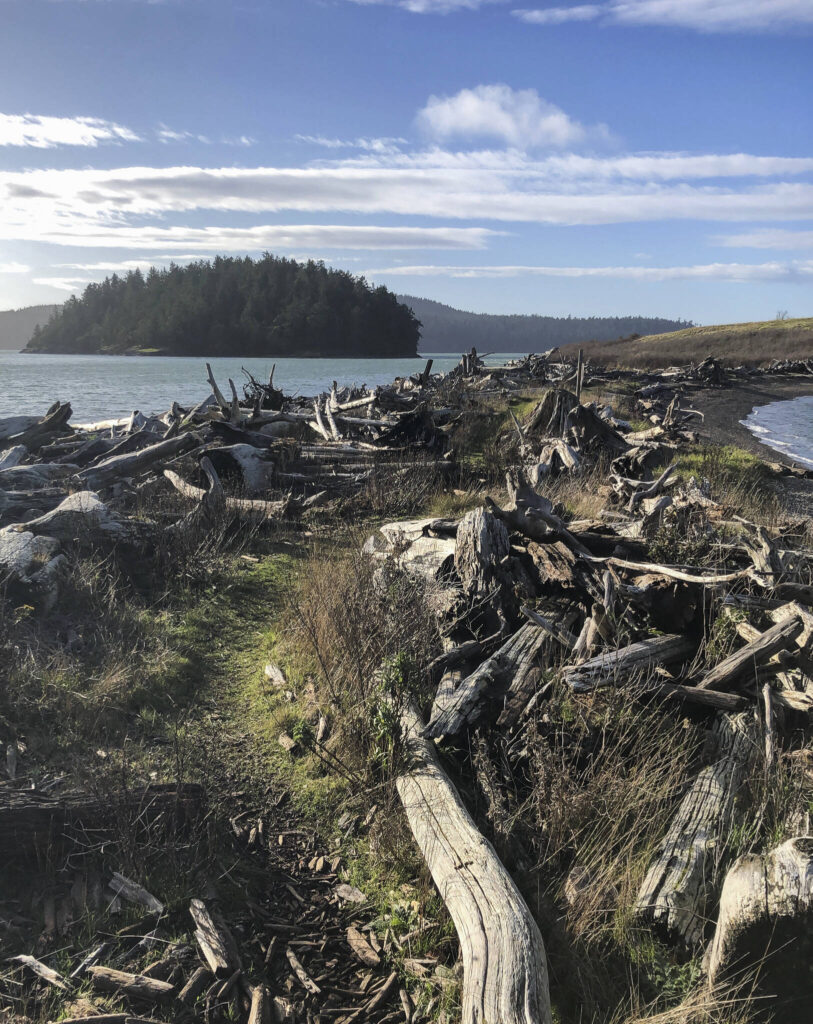 The Kukutali Preserve and Kiket Island offer an easy two-mile walk with great views of the Deception Pass Bridge. (Jon Bauer / The Herald)
