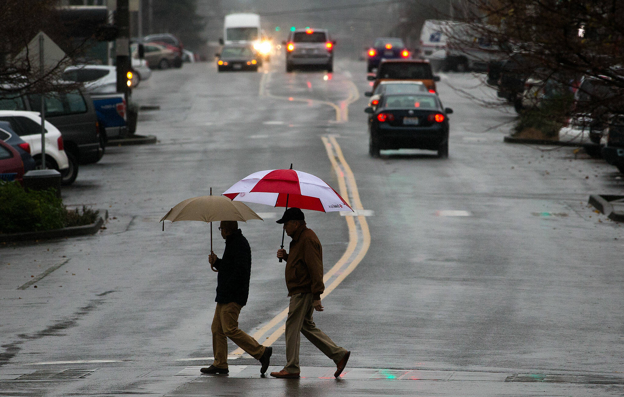 Pedestrians carry umbrellas as they cross Colby Avenue under pouring rain in November 2017 in Everett. (Andy Bronson / The Herald file photo)