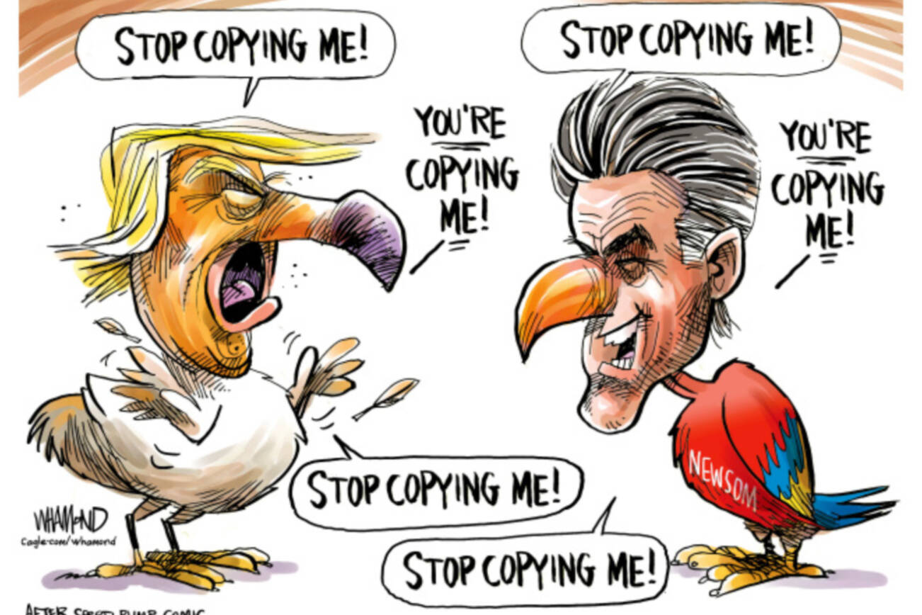 toon