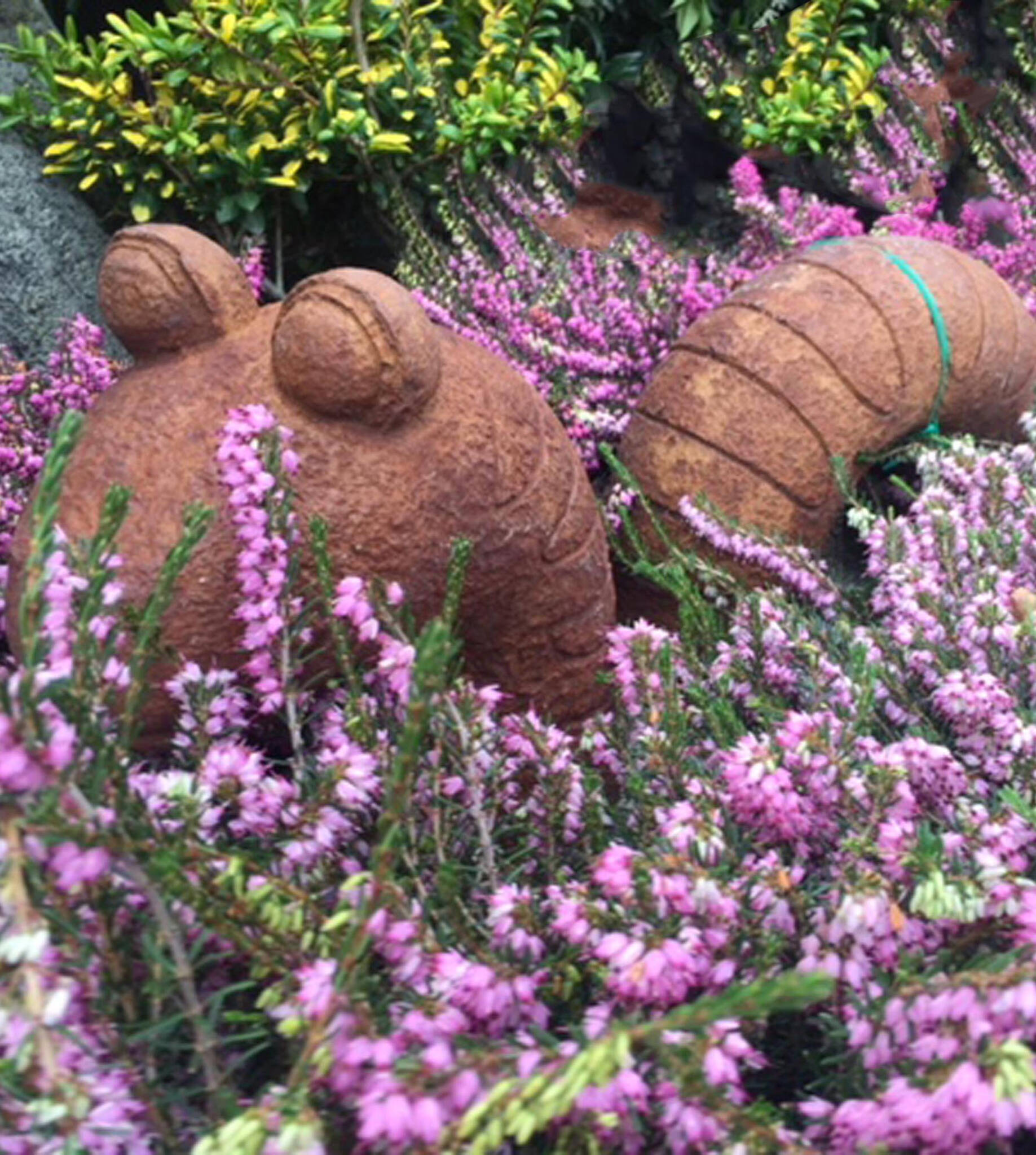 Willy the worm sits between pink and Kramer’s Rote heather. (Sunnyside Nursery)