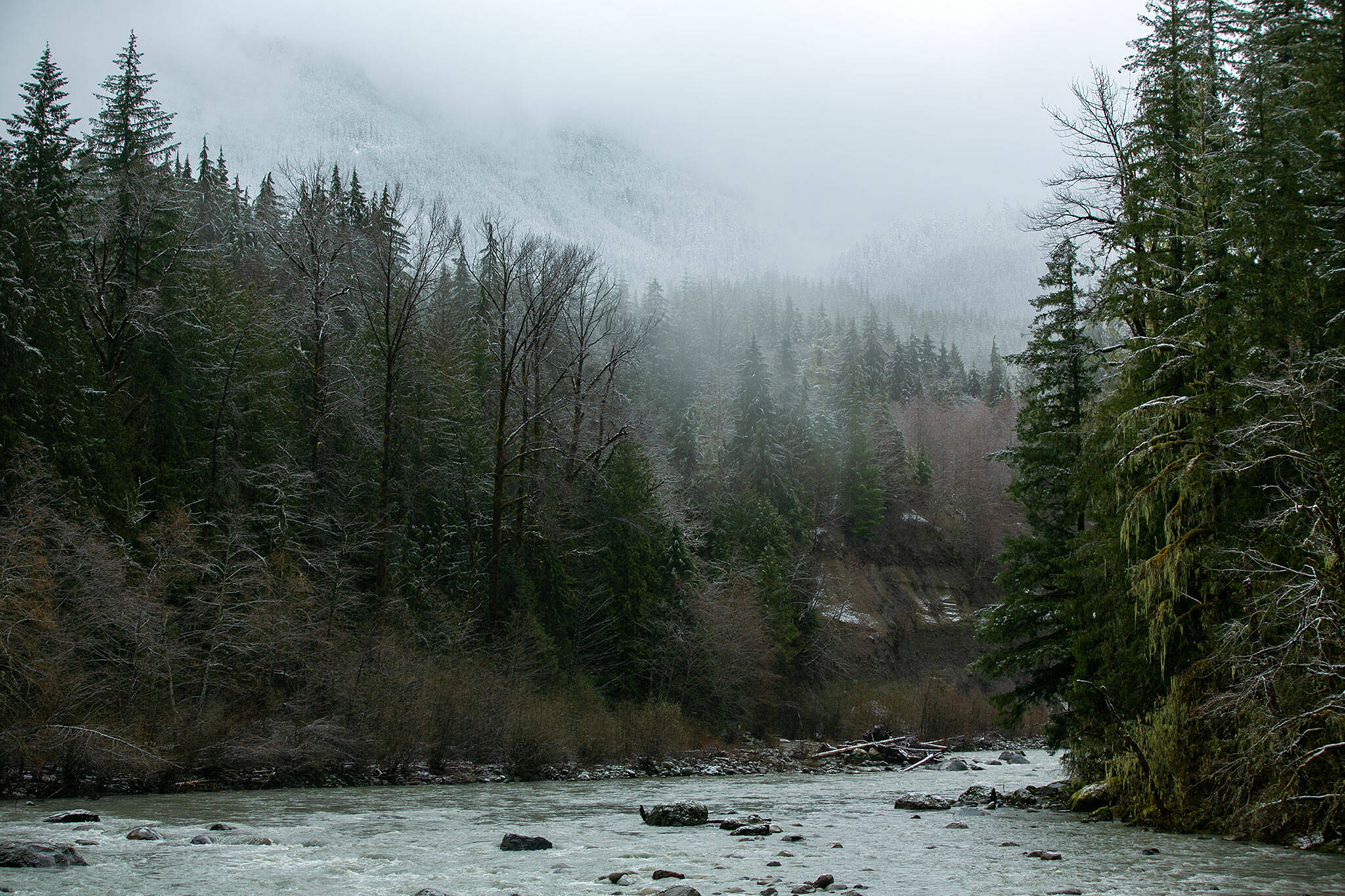 The South Fork Stillaguamish River flows out of Mount Baker-Snoqualmie National Forest in 2023, outside Verlot. (Ryan Berry / The Herald)