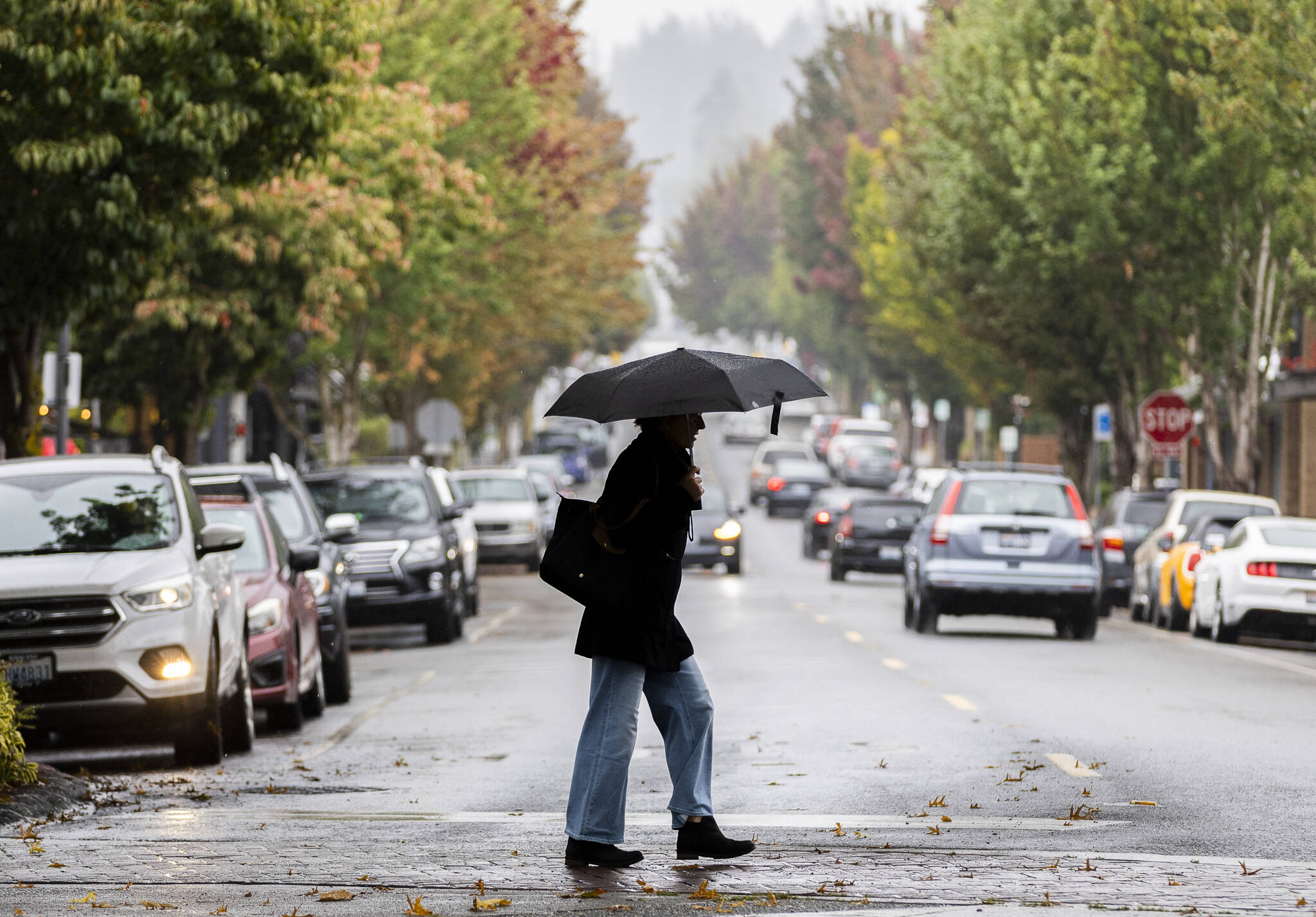 A woman crosses 5th Avenue South with an umbrella as it rains on Sept. 29, 2025 in Edmonds, Washington. (Olivia Vanni / The Herald)