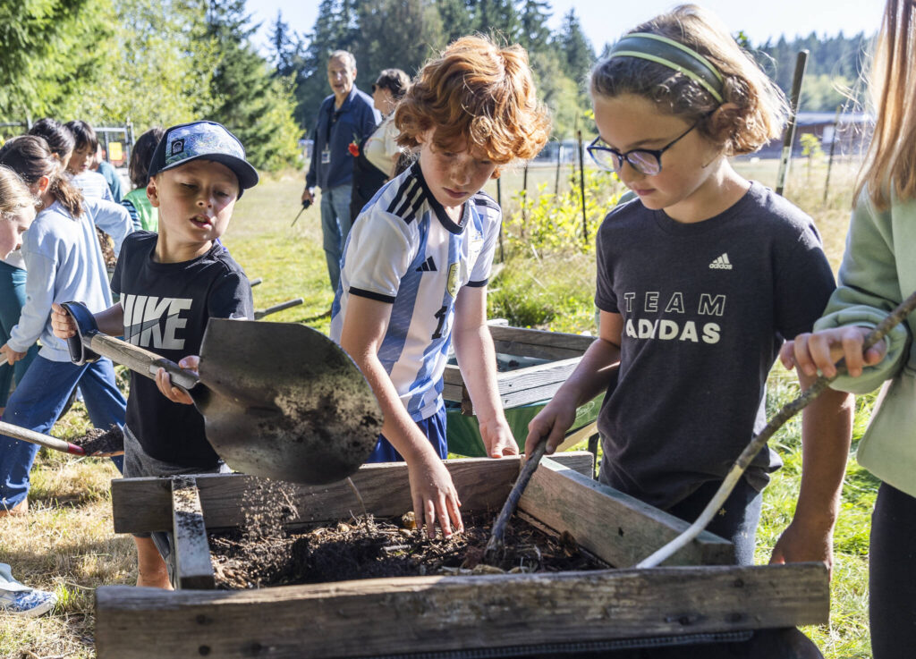 Hayden Cammermeyer dumps compost onto a wire frame for Winston Harper and Murphy Boland to sift the compost during class at South Whidbey Elementary School on Sept. 22, 2025, in Langley, Washington. (Olivia Vanni / The Herald)

