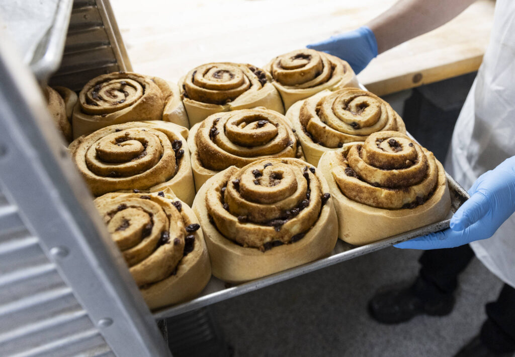 A tray of freshly made cinnamon rolls that The Maltby Cafe is known for on Sept. 29, 2025 in Snohomish, Washington. (Olivia Vanni / The Herald)
