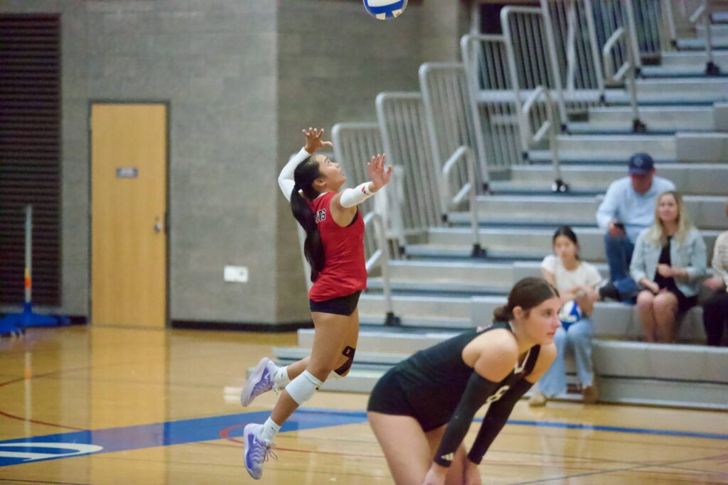 Archbishop Murphy sophomore Julia Navaluna jumps up for a serve during the Wildcats’ 3-0 win against Shorewood at Shorewood High School on Oct. 2, 2025. (Joe Pohoryles / The Herald)
