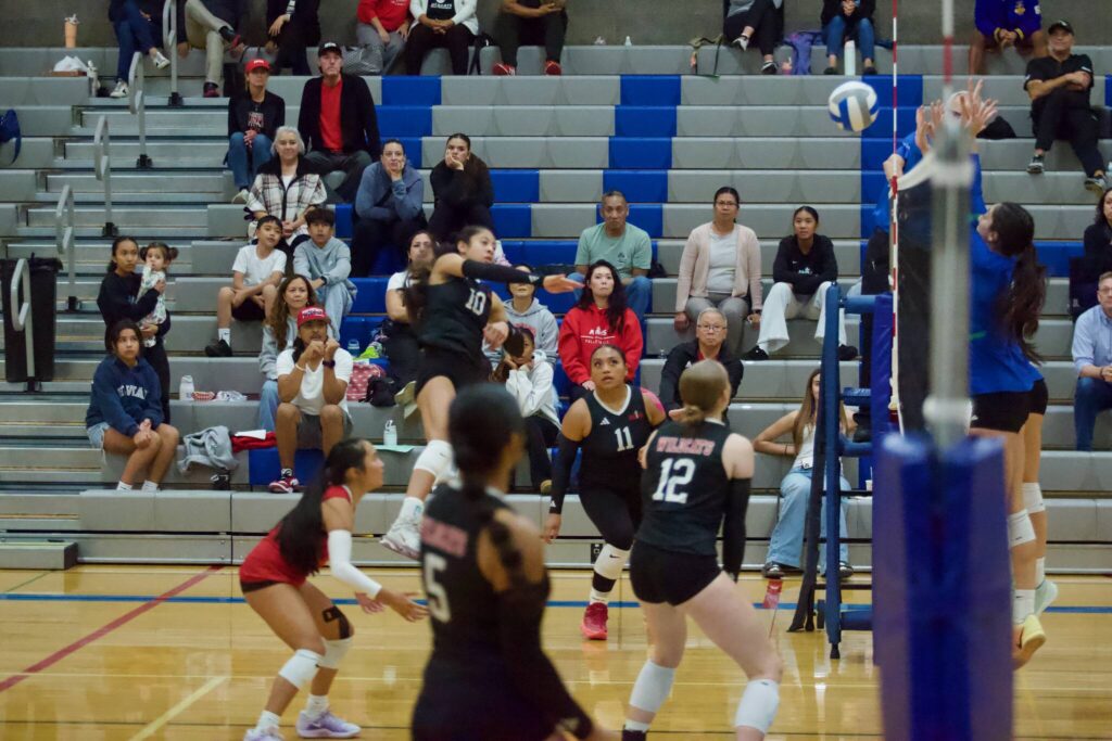 Archbishop Murphy junior Ashley Fletcher (10) drives the ball over the net during the Wildcats’ 3-0 win against Shorewood at Shorewood High School on Oct. 2, 2025. (Joe Pohoryles / The Herald)
