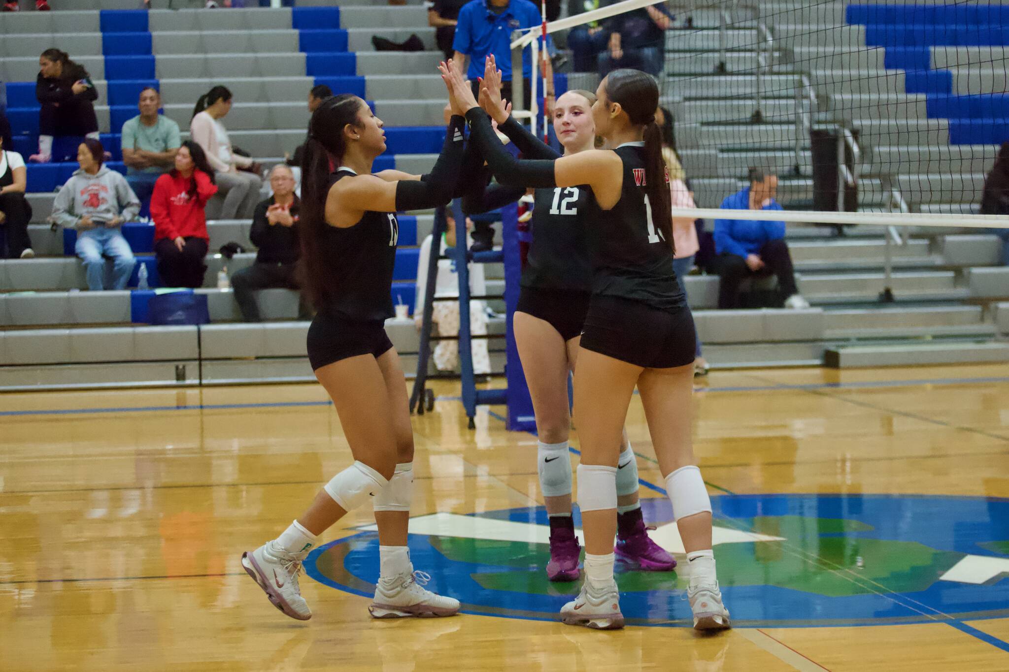 Archbishop Murphy's Ashley Fletcher (left), Emma Morgan-McAuliff (center) and Layla Miller celebrate after scoring a point in the Wildcats' 3-0 win against Shorewood at Shorewood High School on Oct. 2, 2025. (Joe Pohoryles / The Herald)