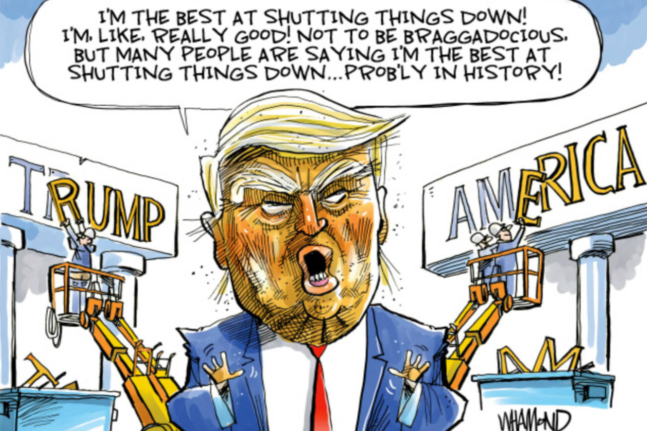 toon