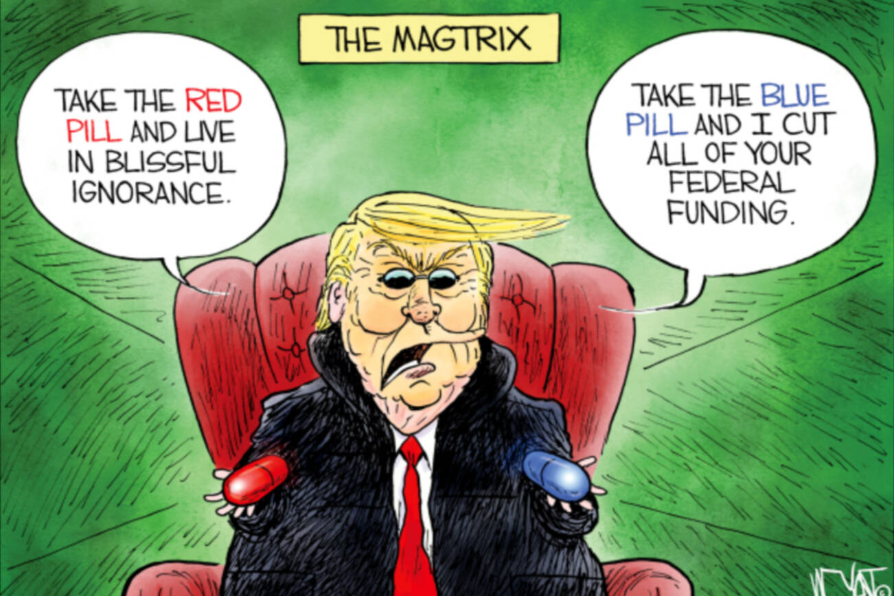 toon