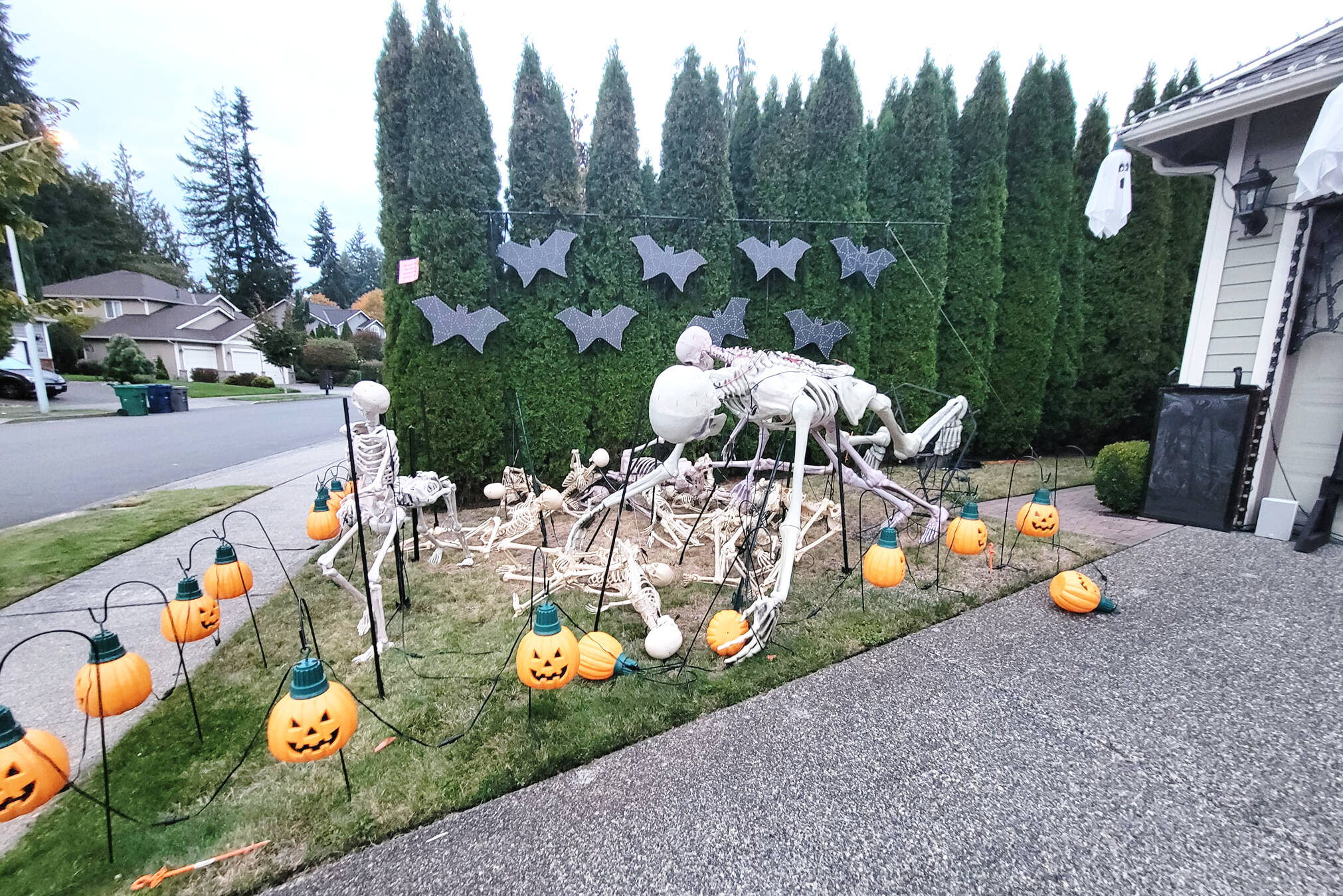The 12-foot skeleton in the Irwin familys skeleton army display after it was knocked down on Oct. 10, 2025, in Everett, Washington. (Paul Irwin)