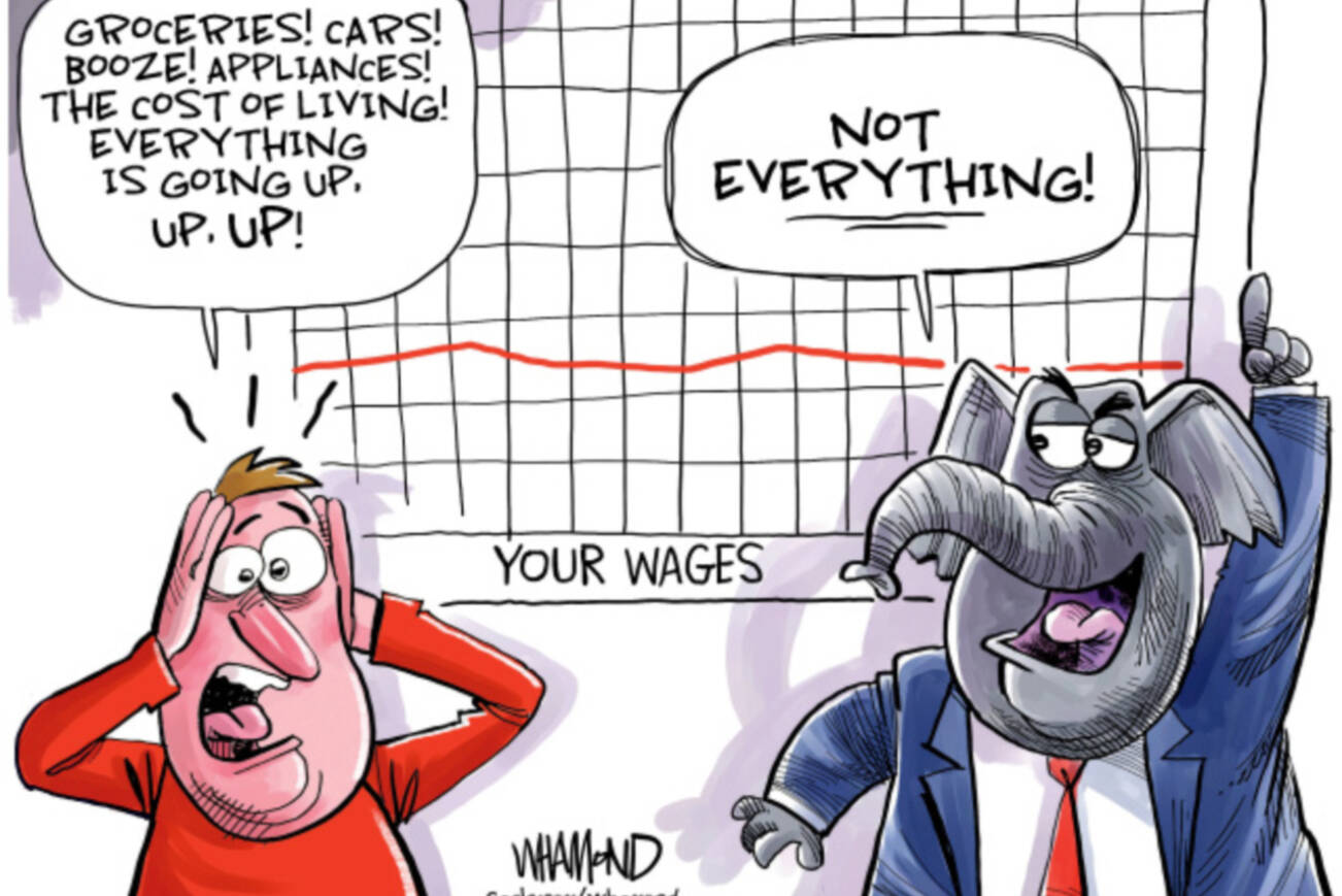 toon