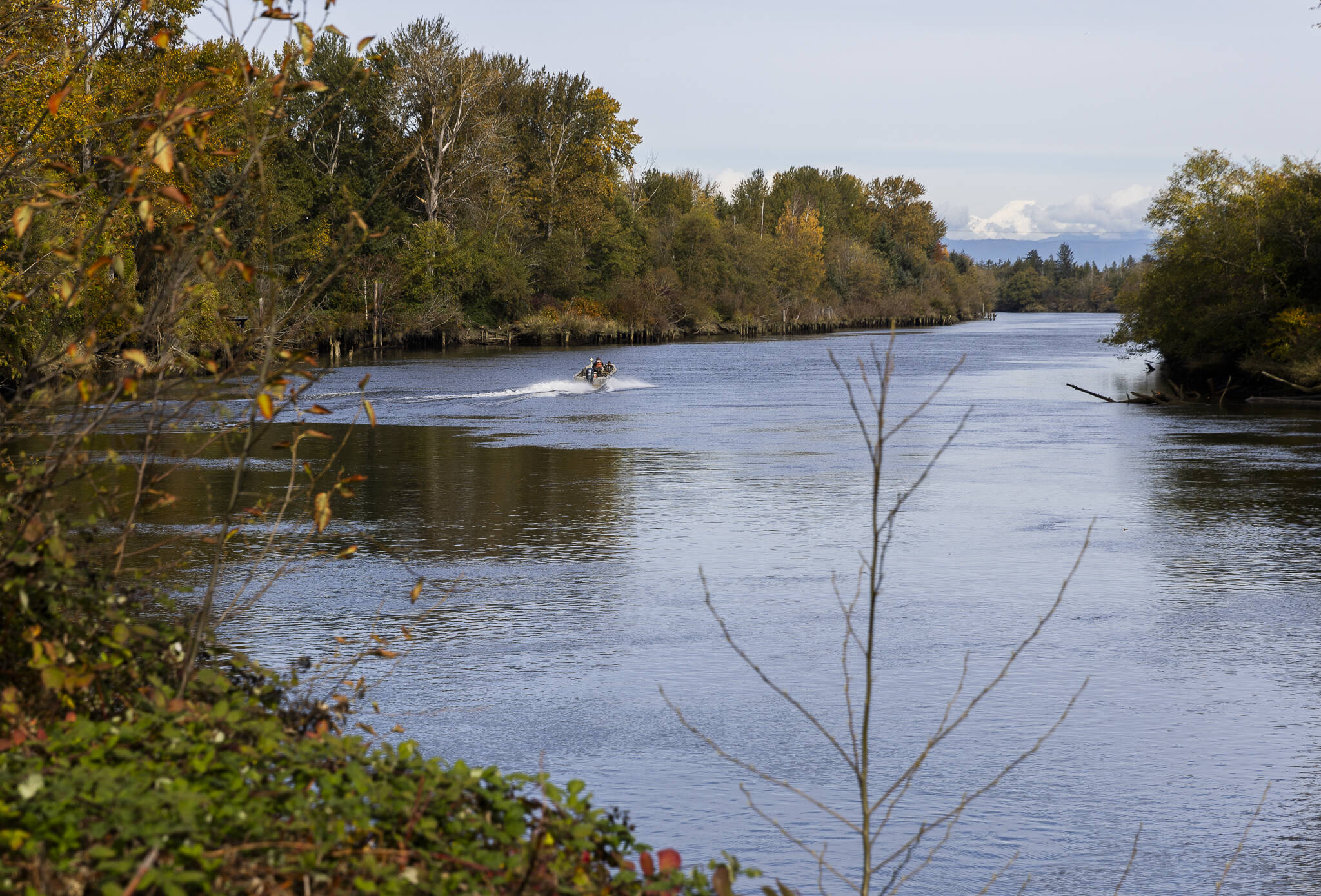 A boat navigates the Snohomish River near the Lowell Riverfront Trail on Oct. 21, 2025 in Everett, Washington. (Olivia Vanni / The Herald)