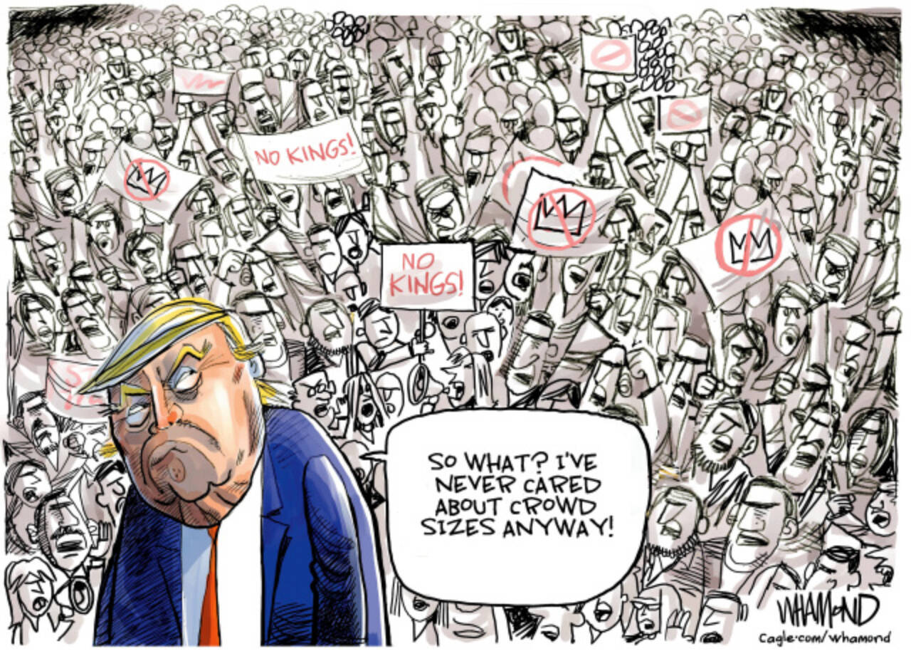 toon