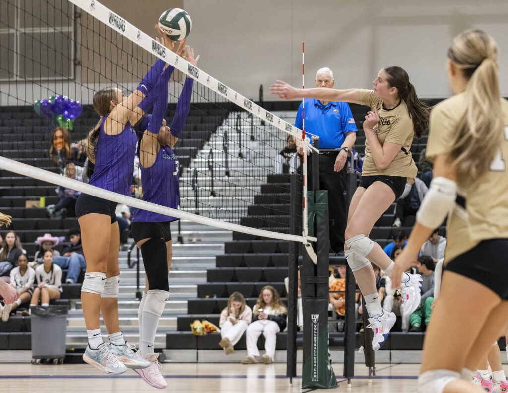 Lynnwood’s Audrey Williams spikes the ball over the net during the game against Edmonds-Woodway on Oct. 29, 2025 in Edmonds, Washington. (Olivia Vanni / The Herald)
