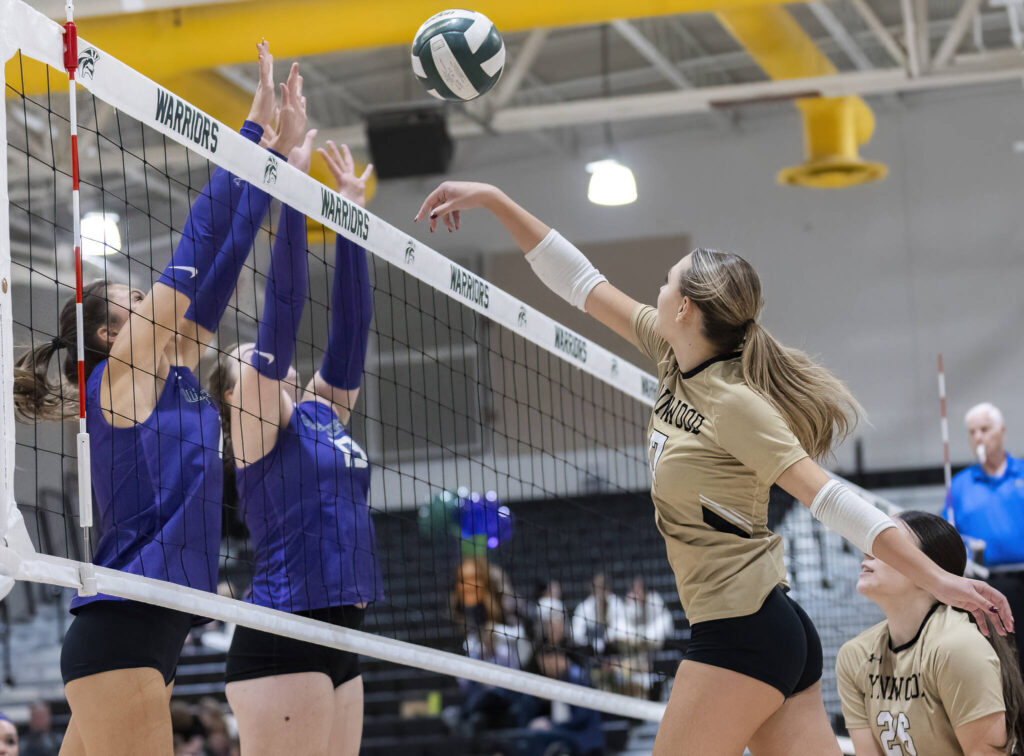 Lynnwood’s Evelyn Hall spikes the ball over the net during the game against Edmonds-Woodway on Oct. 29, 2025 in Edmonds, Washington. (Olivia Vanni / The Herald)
