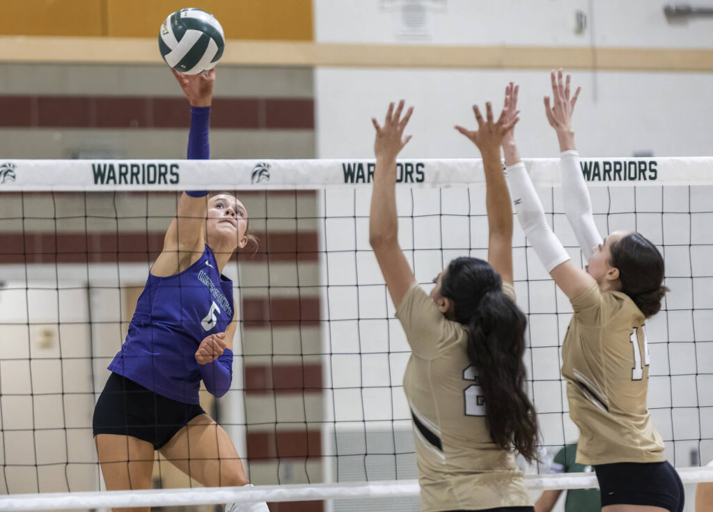 Edmonds-Woodway’s Calla Camp spikes the ball over the net during the game against Edmonds-Woodway on Oct. 29, 2025 in Edmonds, Washington. (Olivia Vanni / The Herald)
