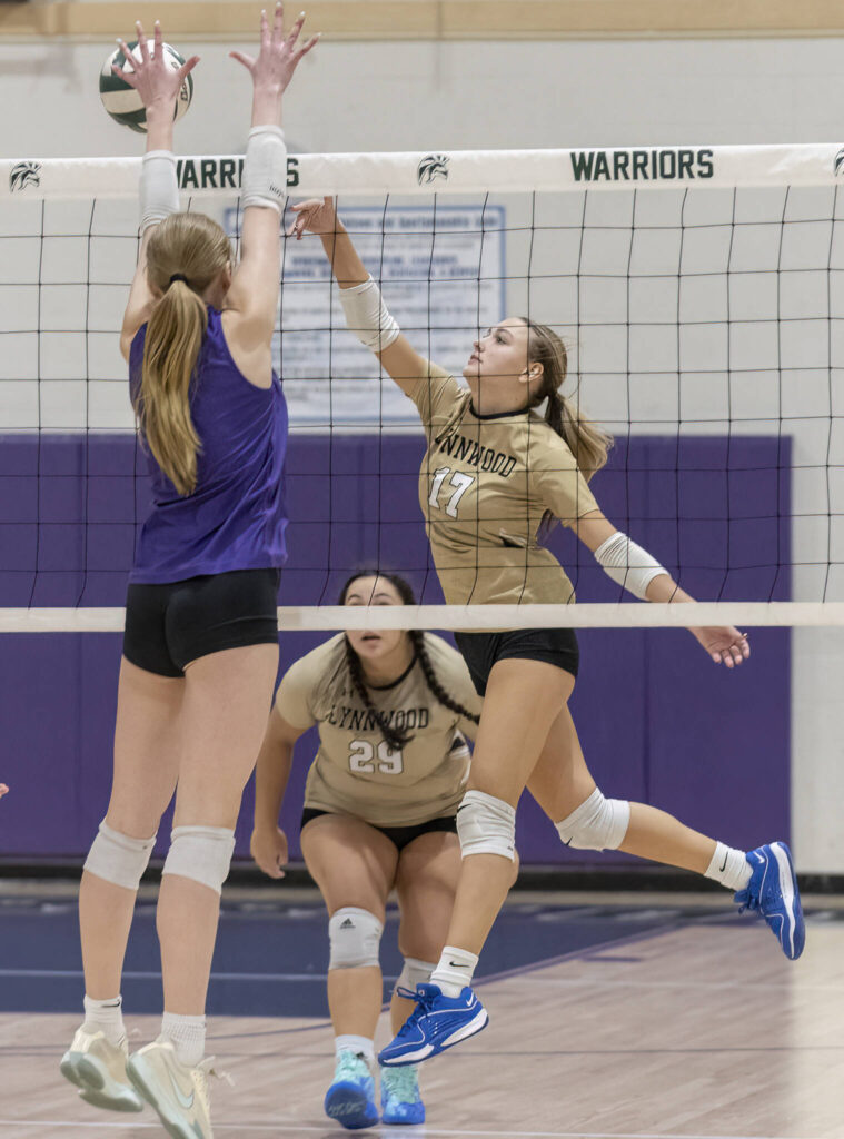 Lynnwood’s Evelyn Hall spikes the ball over the top of the net during the game against Edmonds-Woodway on Oct. 29, 2025 in Edmonds, Washington. (Olivia Vanni / The Herald)
