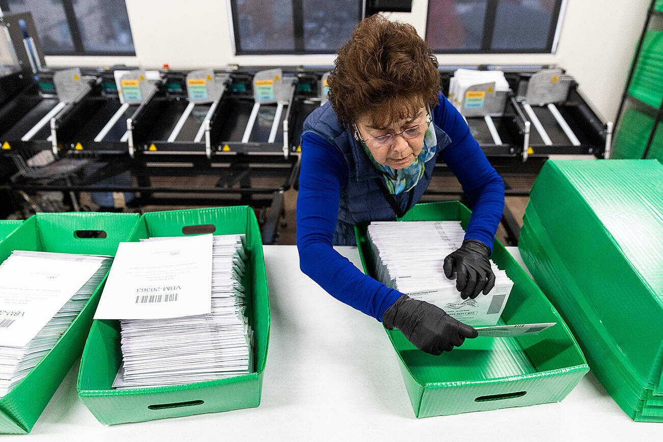 Tina Ruybal prepares ballots to be moved to the extraction point in the Snohomish County Election Center on Nov. 3, 2025 in Everett, Washington. (Olivia Vanni / The Herald)